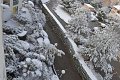 DSC 0016